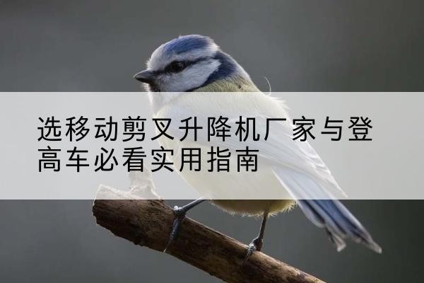 聂荣电动升降机厂家-选移动剪叉升降机厂家与登高车必看实用指南