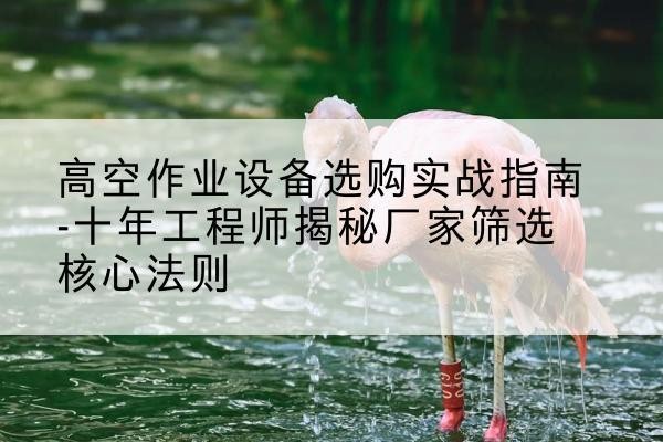 聂荣剪叉式升降机厂家-高空作业设备选购实战指南-十年工程师揭秘厂家筛选核心法则
