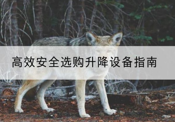 聂荣升降货梯厂家推荐-*安全选购升降设备指南