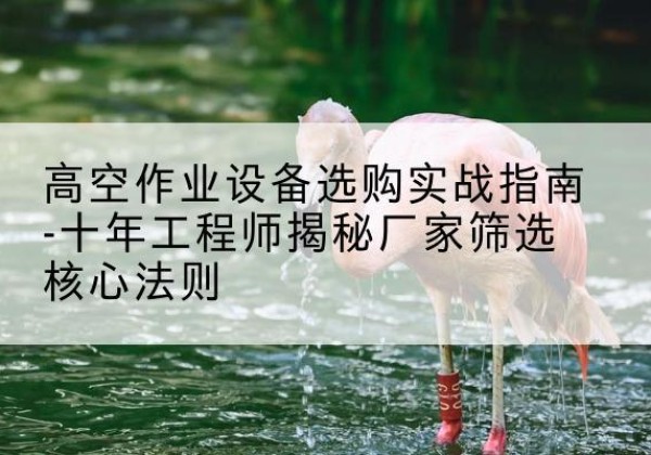聂荣剪叉式升降机厂家-高空作业设备选购实战指南-十年工程师揭秘厂家筛选核心法则